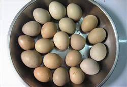 Trứng chim trĩ - Thuốc bổ quý