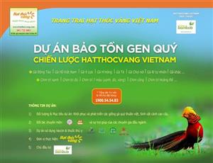 Dự án Bảo tồn gen Quý, Chiến lược Hatthocvang Vietnam