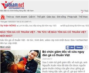 VIETNAMNET - Bỏ chức giám đốc về cứu nguy đàn gà cổ thuần Việt
