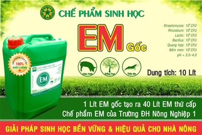 Chế phẩm EM gốc (EM1)