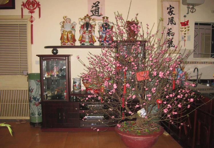 Picture 1