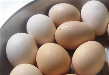 Trứng giống - gà Đông Tảo