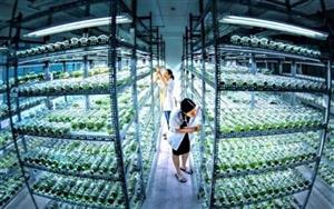 Bảo tồn gen quý - Nền tảng của phát triển nông nghiệp bền vững