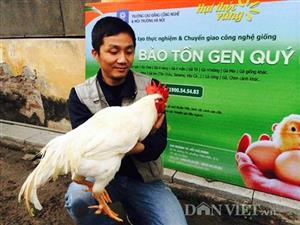 Dân Việt - Người đàn ông chỉ mê gà Quý hiếm
